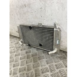 Radiatore Acqua Piaggio MP3 Yourban 300ie Dal 2011 Al 2018 COD Piaggio 657340  1763974691986