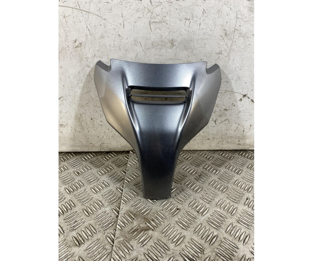 Carena Scudetto Anteriore Suzuki Burgman 650 Executive Dal 2004 al 2006  1764152831644