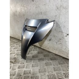 Carena Scudetto Anteriore Suzuki Burgman 650 Executive Dal 2004 al 2006  1764152831644