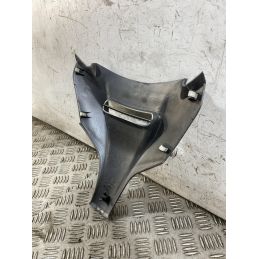 Carena Scudetto Anteriore Suzuki Burgman 650 Executive Dal 2004 al 2006  1764152831644