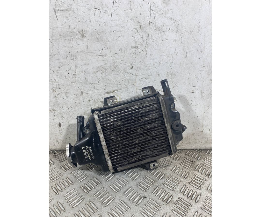 Radiatore Acqua Piaggio Vespa GTS 125 SUPER Dal 2021 al 2025  1764171143346