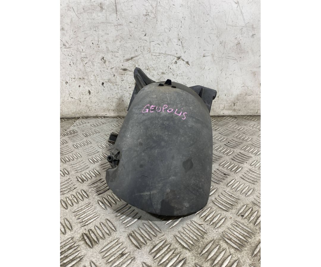 Carena Parafango Posteriore Peugeot Geopolis 250 dal 2005 al 2012  1764581796163