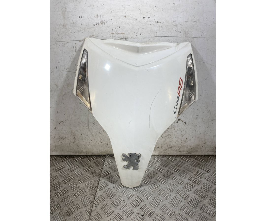 Carena Scudetto Anteriore Peugeot Geopolis 250 dal 2005 al 2012  1764586882359