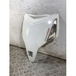 Carena Scudetto Anteriore Peugeot Geopolis 250 dal 2005 al 2012  1764586882359