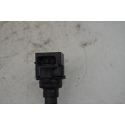 Bobine Accensione Dacia Duster dal 2024 in poi Cod 224485RF0A  1764668451596