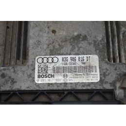 Centralina ECU Audi A3 8P dal 2003 al 2013 Cod 03G906016DT/0281011892  1764673567022
