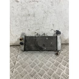 Radiatore Acqua Derbi GPR 125 4T 4V Dal 2009 al 2015  1764753460540