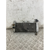 Radiatore Acqua Derbi GPR 125 4T 4V Dal 2009 al 2015  1764753460540