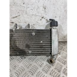 Radiatore Acqua Derbi GPR 125 4T 4V Dal 2009 al 2015  1764753460540