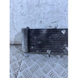 Radiatore Acqua Derbi GPR 125 4T 4V Dal 2009 al 2015  1764753460540