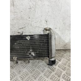 Radiatore Acqua Derbi GPR 125 4T 4V Dal 2009 al 2015  1764753460540