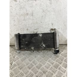 Radiatore Acqua Derbi GPR 125 4T 4V Dal 2009 al 2015  1764753460540