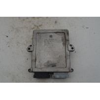 Centralina GPL Peugeot 207 Dal 2006 al 2015 Cod 10R-036337  1764758234603