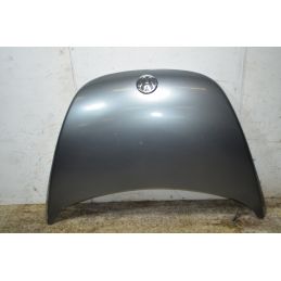 Cofano Anteriore Volkswagen New Beetle Dal 1999 al 2010 Cod 1C0823031L  1764759408034