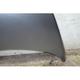 Cofano Anteriore Volkswagen New Beetle Dal 1999 al 2010 Cod 1C0823031L  1764759408034