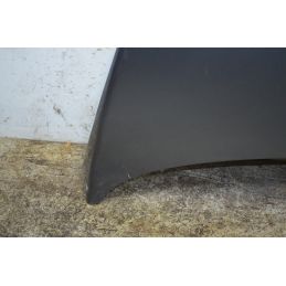 Cofano Anteriore Volkswagen New Beetle Dal 1999 al 2010 Cod 1C0823031L  1764759408034