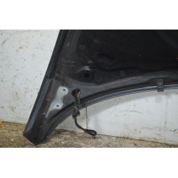 Cofano Anteriore Volkswagen New Beetle Dal 1999 al 2010 Cod 1C0823031L  1764759408034