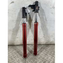 Coppia Steli Forcella Derbi GPR 125 4T 4V Dal 2009 al 2015  1764759941630