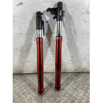 Coppia Steli Forcella Derbi GPR 125 4T 4V Dal 2009 al 2015  1764759941630