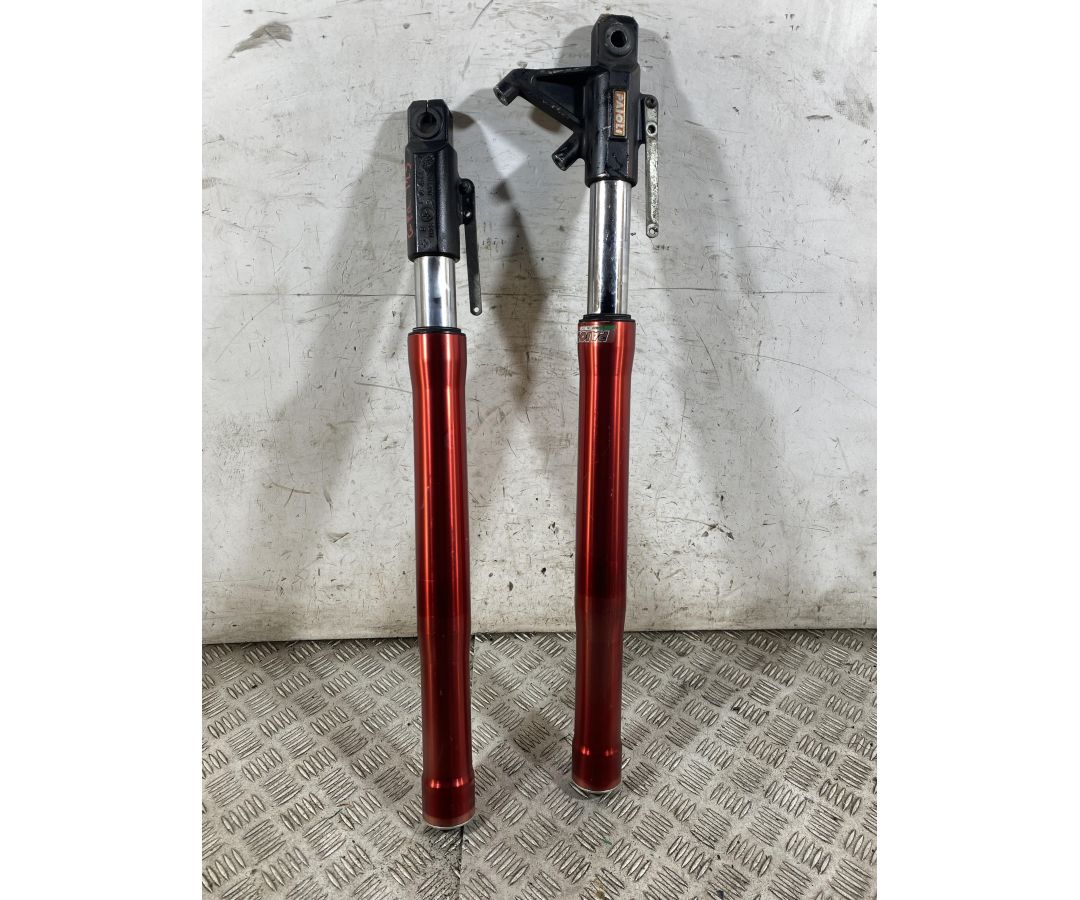 Coppia Steli Forcella Derbi GPR 125 4T 4V Dal 2009 al 2015  1764759941630