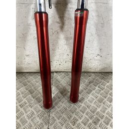 Coppia Steli Forcella Derbi GPR 125 4T 4V Dal 2009 al 2015  1764759941630