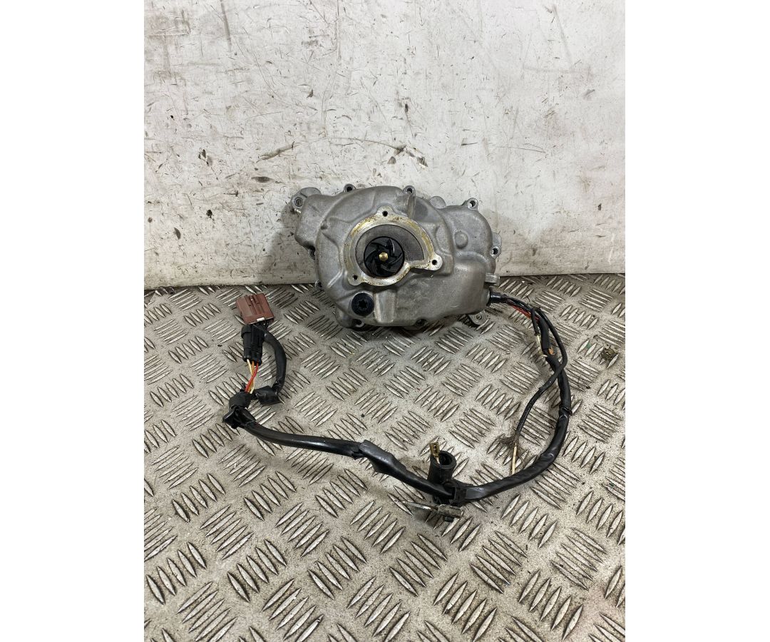 Carter Statore Con Statore Piaggio Beverly 250 dal 2001 al 2010  1764860885526