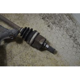 Sospensione completa anteriore SX Hyundai I10 Dal 2013 al 2017 Cod 51716B9000  1764921284350