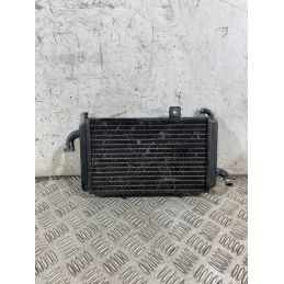 Radiatore Acqua Piaggio Hexagon 150 Dal 1994 Al 2003 COD Piaggio 45208  1764933415629