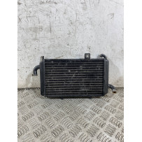 Radiatore Acqua Piaggio Hexagon 150 Dal 1994 Al 2003 COD Piaggio 45208  1764933415629