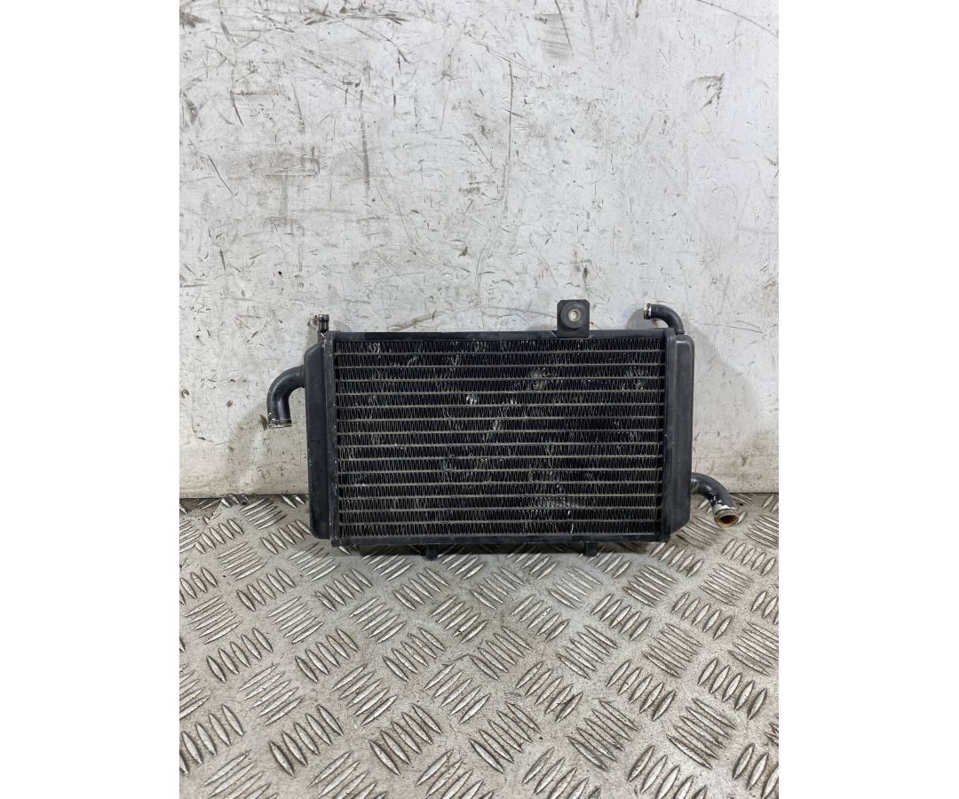 Radiatore Acqua Piaggio Hexagon 150 Dal 1994 Al 2003 COD Piaggio 45208  1764933415629