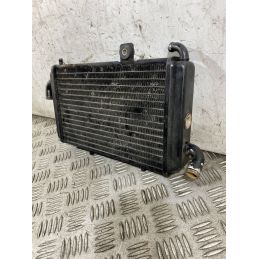 Radiatore Acqua Piaggio Hexagon 150 Dal 1994 Al 2003 COD Piaggio 45208  1764933415629