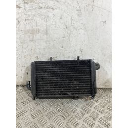 Radiatore Acqua Piaggio Hexagon 150 Dal 1994 Al 2003 COD Piaggio 45208  1764933415629