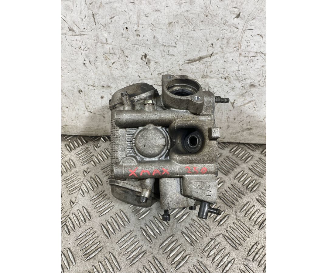 Testata Completa Yamaha X-Max Xmax 250 Dal 2005 al 2009  1764943380559