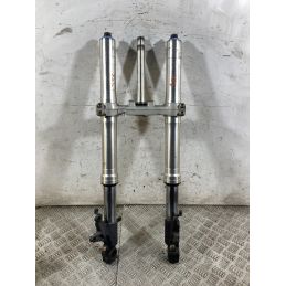 Forcella Honda CBR 954 RR Fireblade dal 2002 al 2004  1765270758547