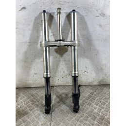 Forcella Honda CBR 954 RR Fireblade dal 2002 al 2004  1765270758547