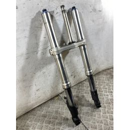 Forcella Honda CBR 954 RR Fireblade dal 2002 al 2004  1765270758547