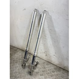 Coppia Steli Forcella Suzuki GSX R 750 Dal 1999 al 2003  1765279460762