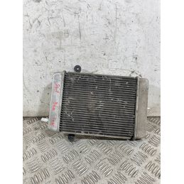 Radiatore Acqua Honda SH 300 Dal 2016 al 2020  1765281090421