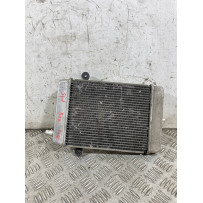 Radiatore Acqua Honda SH 300 Dal 2016 al 2020  1765281090421