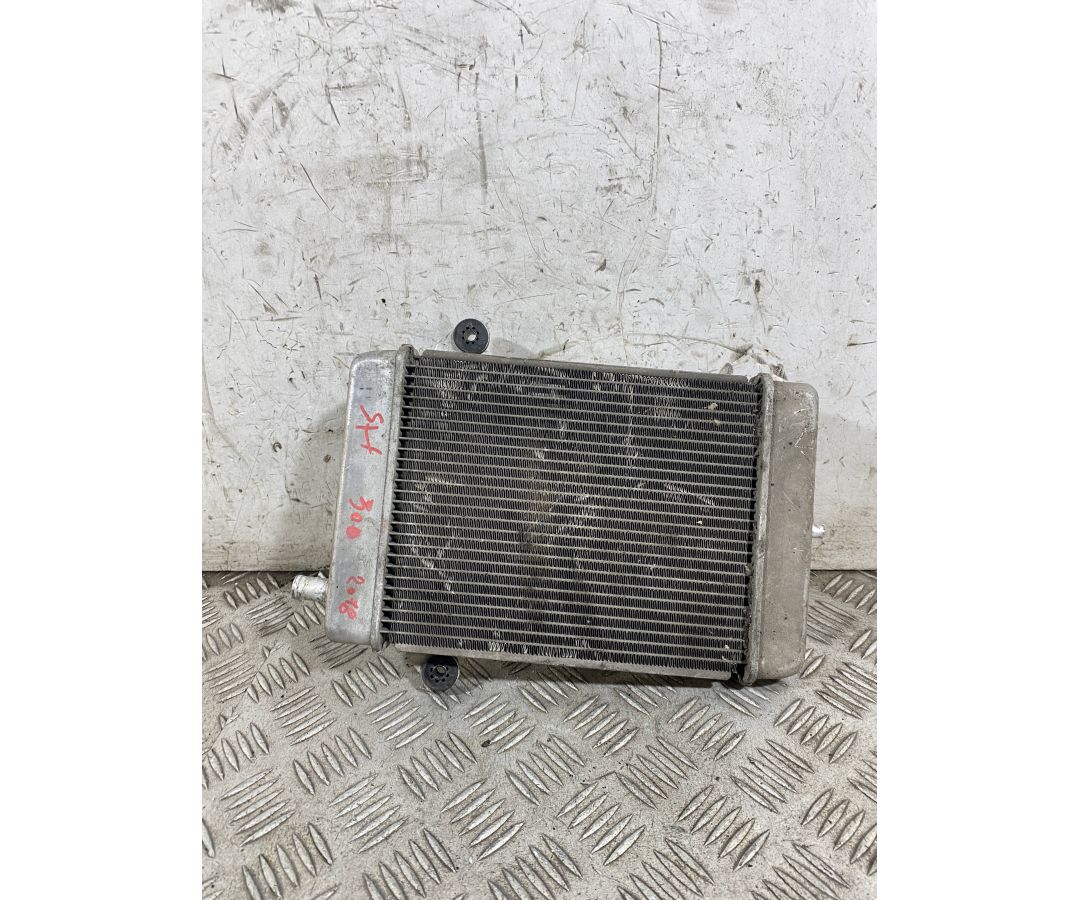 Radiatore Acqua Honda SH 300 Dal 2016 al 2020  1765281090421