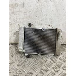 Radiatore Acqua Honda SH 300 Dal 2016 al 2020  1765281090421