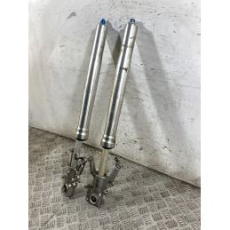 Coppia Steli Forcella Suzuki GSX 1300 R Hayabusa Dal 1999 al 2006 DA REVISIONARE  1765281089845
