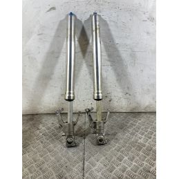Coppia Steli Forcella Suzuki GSX 1300 R Hayabusa Dal 1999 al 2006 DA REVISIONARE  1765281089845