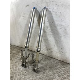 Coppia Steli Forcella Suzuki GSX 1300 R Hayabusa Dal 1999 al 2006 DA REVISIONARE  1765281089845