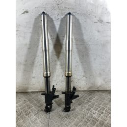 Coppia Steli Forcella Honda CBR 954 RR Fireblade dal 2002 al 2004  1765289206534