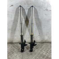 Coppia Steli Forcella Honda CBR 954 RR Fireblade dal 2002 al 2004  1765289206534
