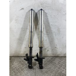 Coppia Steli Forcella Honda CBR 954 RR Fireblade dal 2002 al 2004  1765289206534