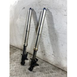 Coppia Steli Forcella Honda CBR 954 RR Fireblade dal 2002 al 2004  1765289206534