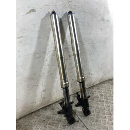 Coppia Steli Forcella Honda CBR 954 RR Fireblade dal 2002 al 2004  1765289206534