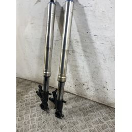 Coppia Steli Forcella Honda CBR 954 RR Fireblade dal 2002 al 2004  1765289206534